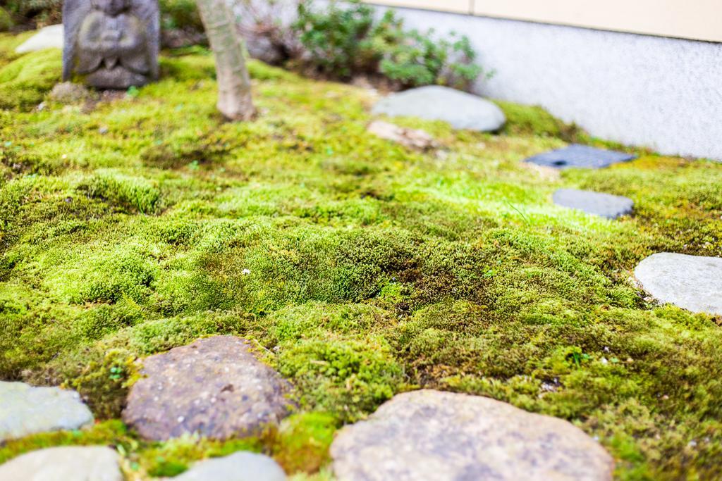 Kyo No Yado Sangen Ninenzaka Ryokan